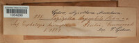 Image Associated With the Occurence